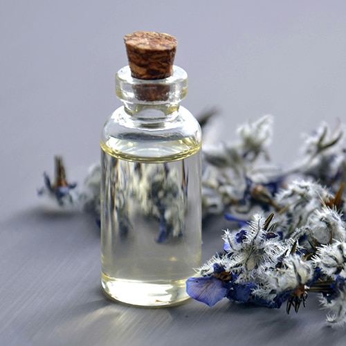 An essential oil bottle with dried Eryngium