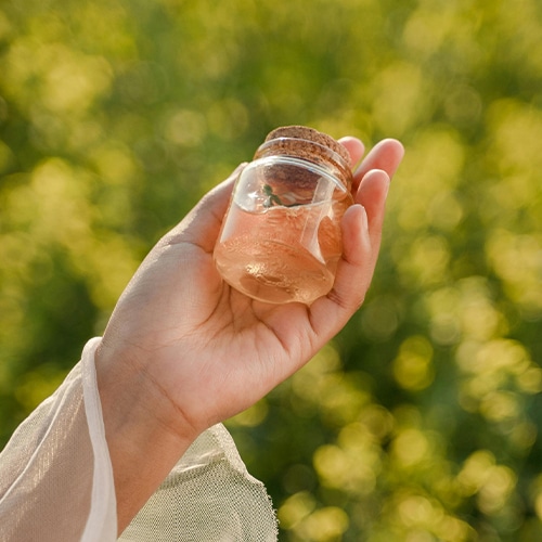  woman's hand holding sustainable ingredients