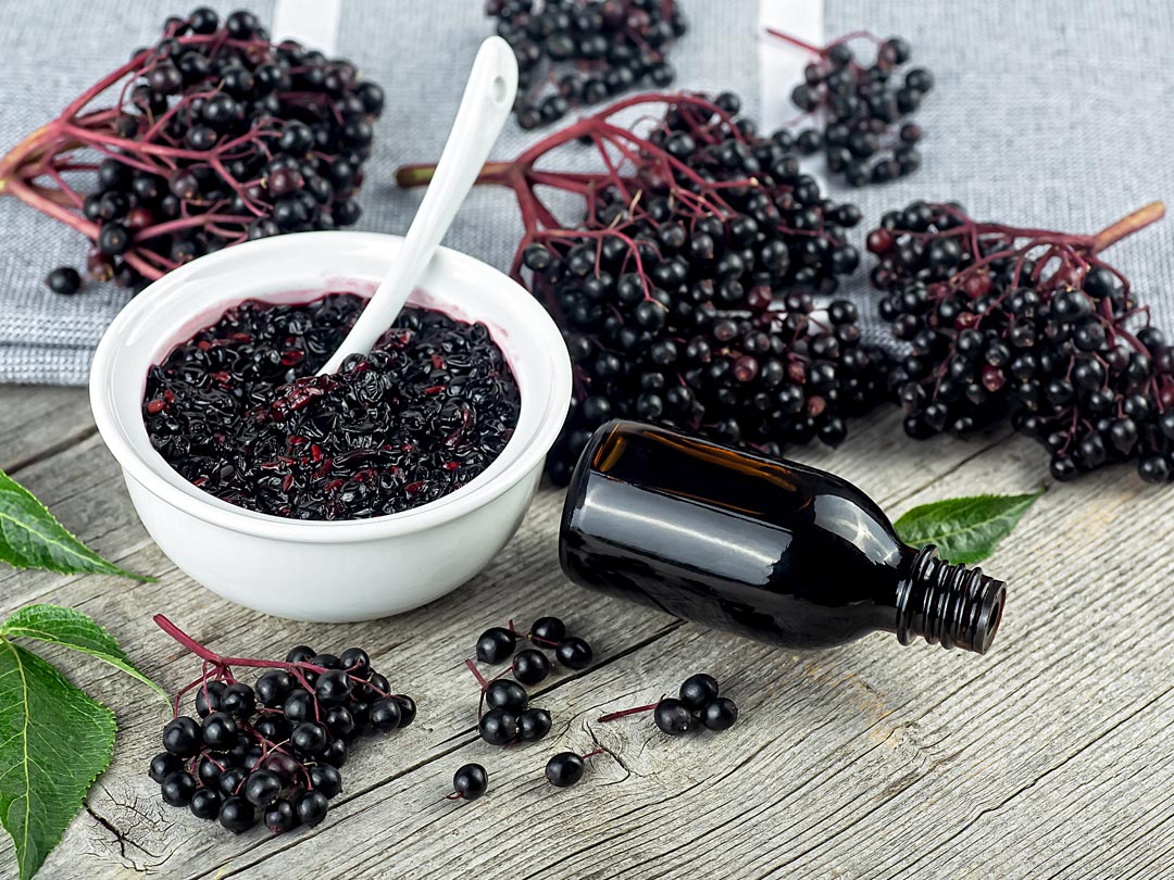 Cherish the Gift of Nature – Elderberries